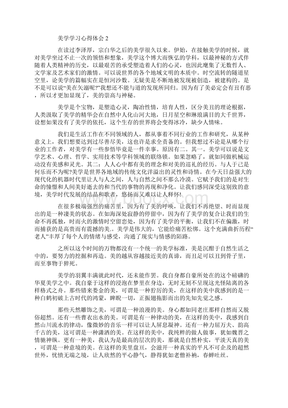 美学学习心得体会.docx_第2页