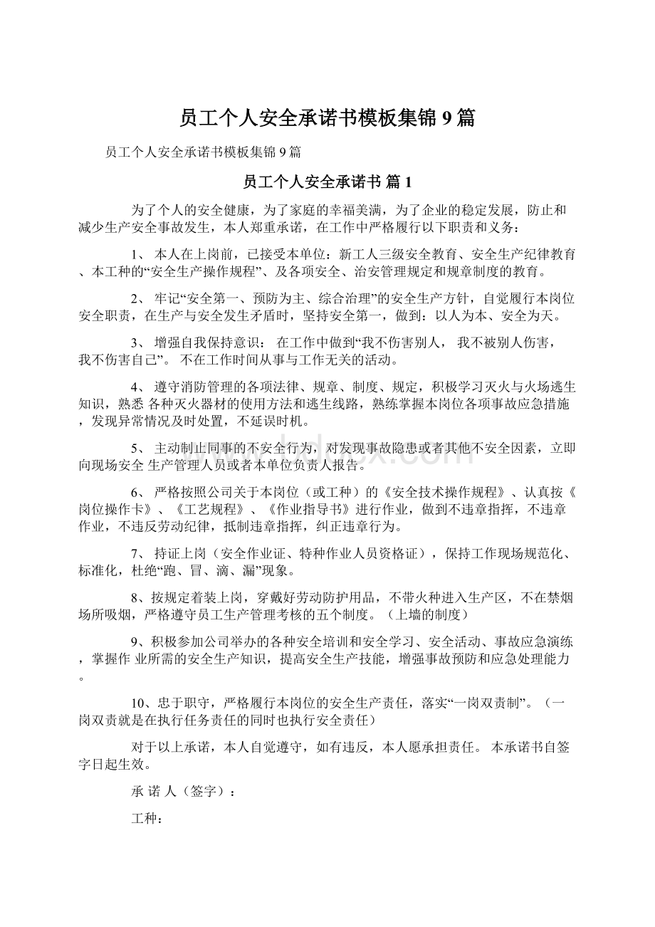 员工个人安全承诺书模板集锦9篇.docx