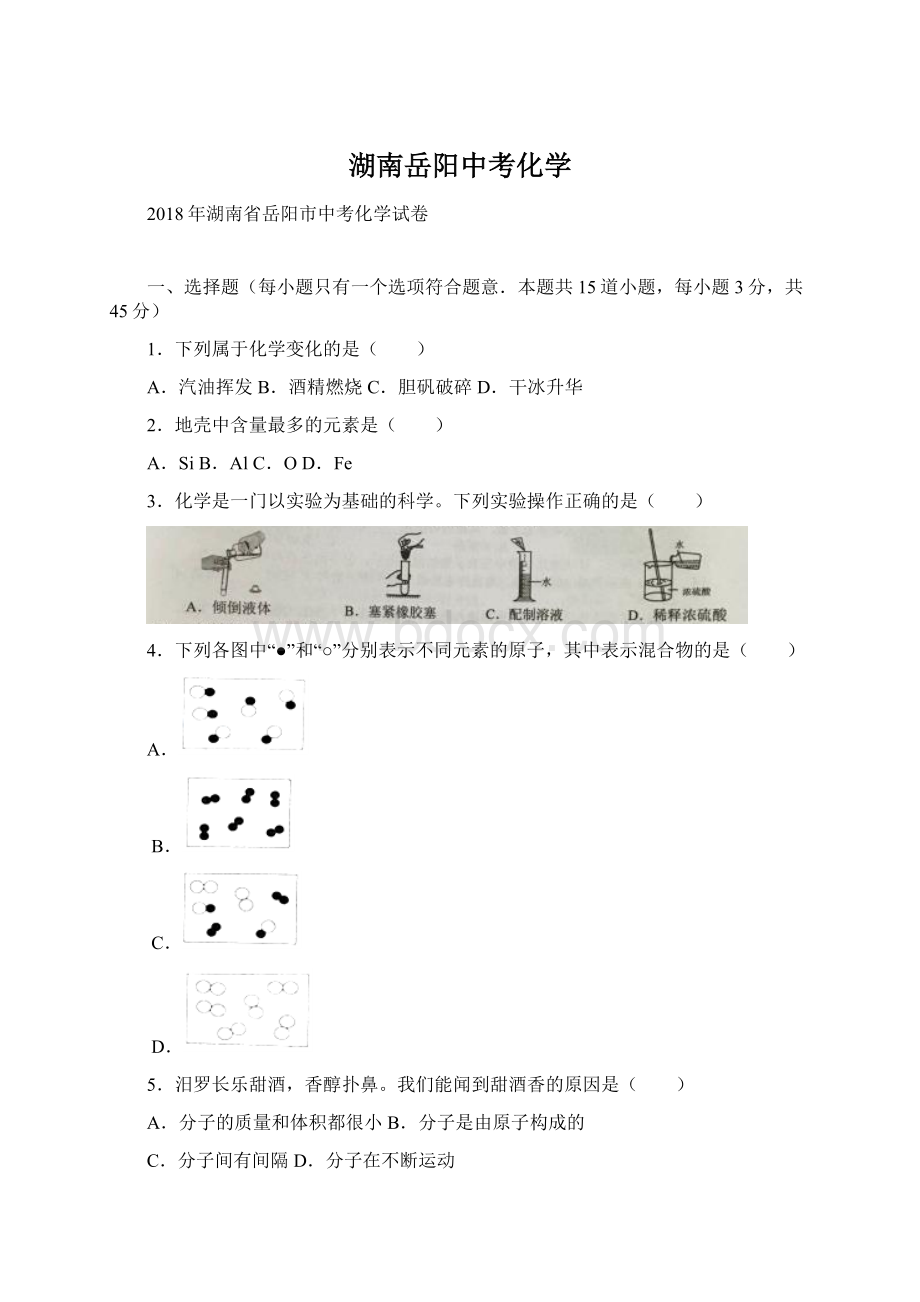 湖南岳阳中考化学文档格式.docx