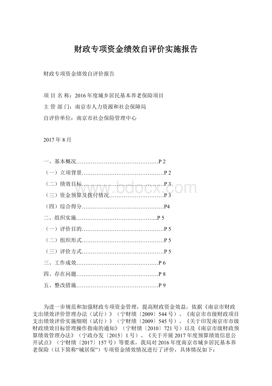 财政专项资金绩效自评价实施报告文档格式.docx_第1页