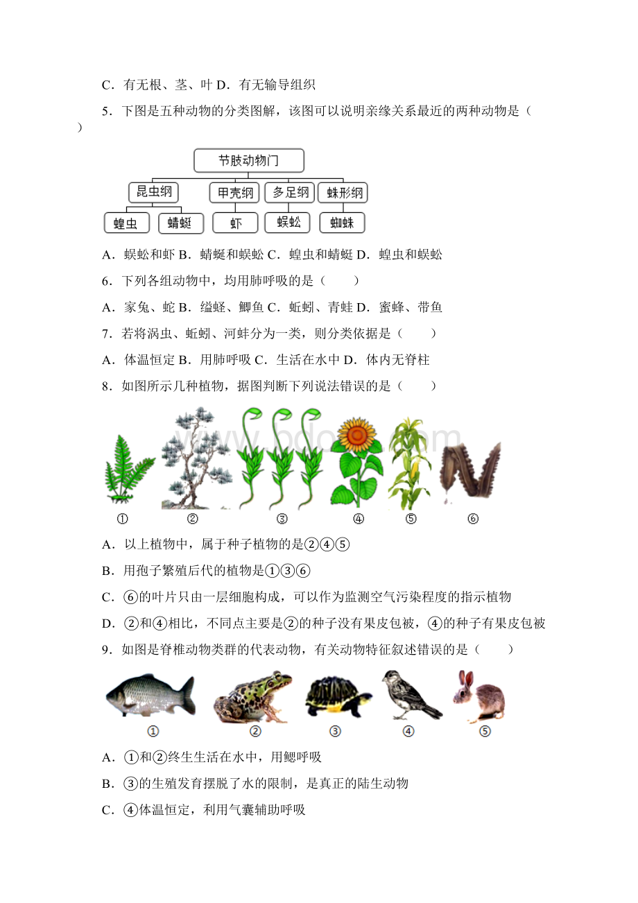 人教版八年级生物上册 第六单元第一章 根据生物的特征进行分类复习题解析版.docx_第2页