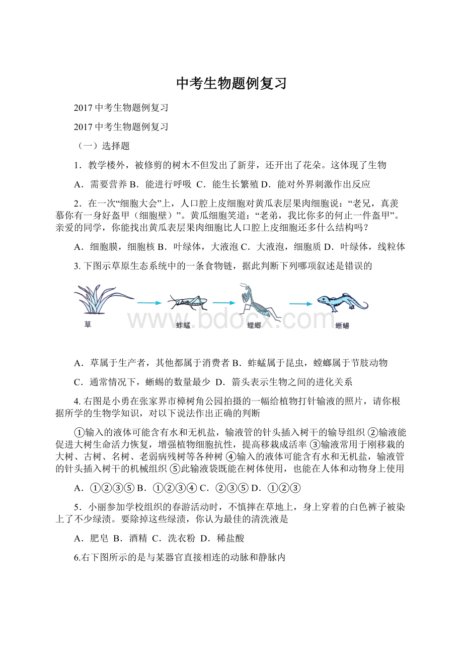 中考生物题例复习.docx