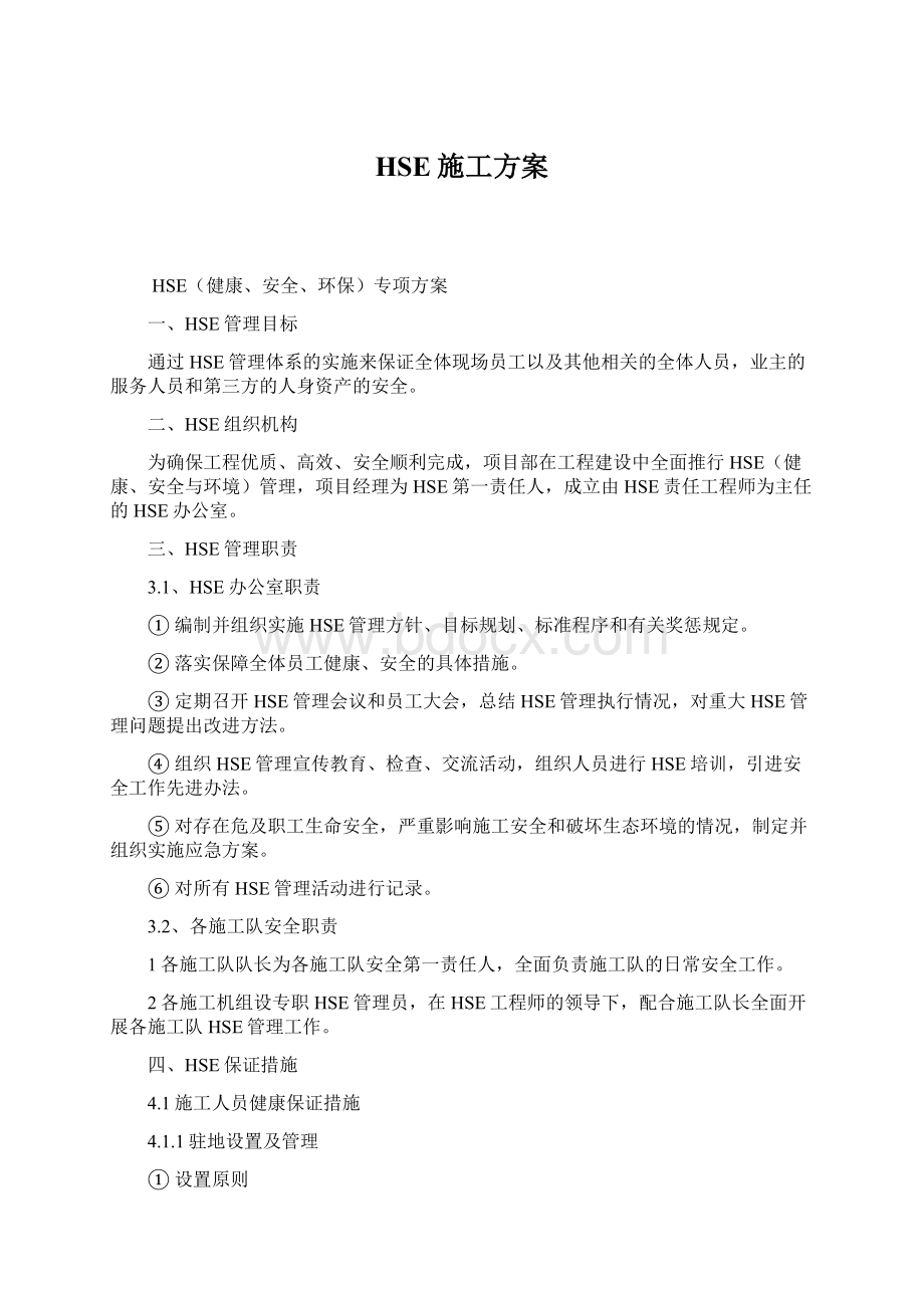 HSE施工方案文档格式.docx