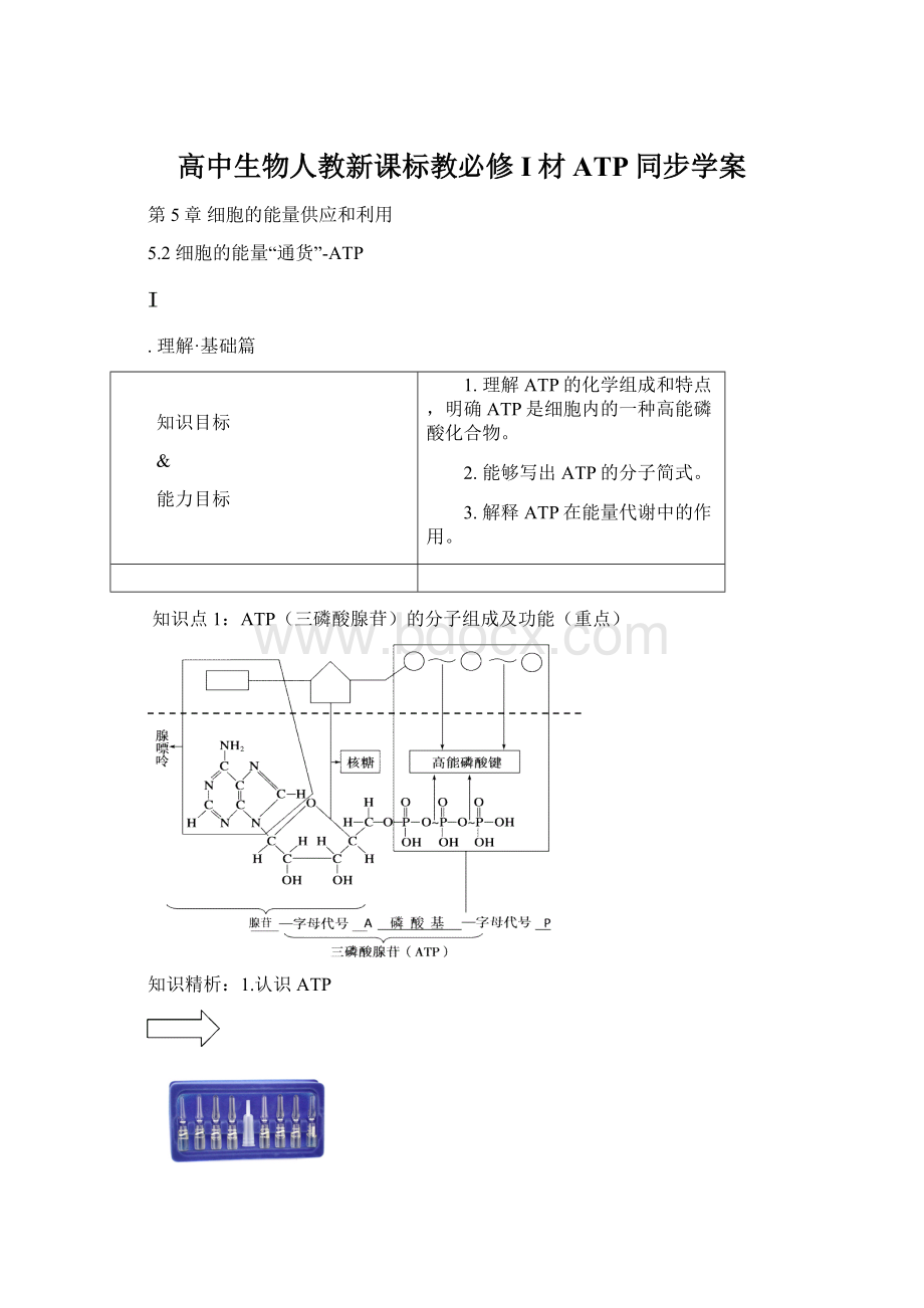 高中生物人教新课标教必修I材ATP同步学案.docx