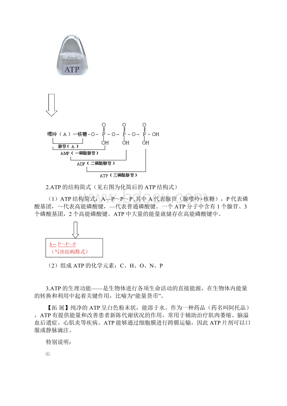 高中生物人教新课标教必修I材ATP同步学案.docx_第2页