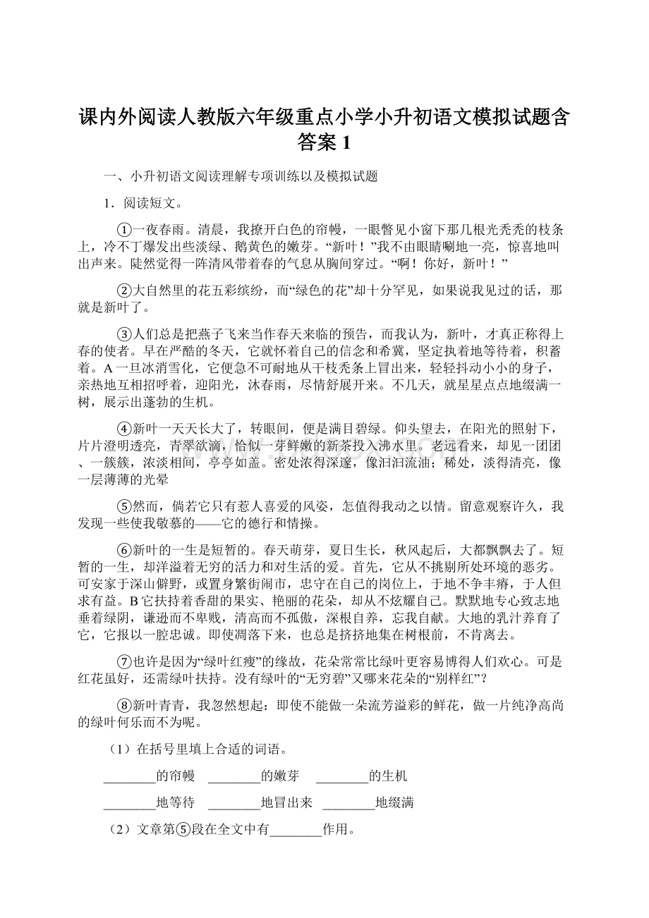 课内外阅读人教版六年级重点小学小升初语文模拟试题含答案1文档格式.docx_第1页