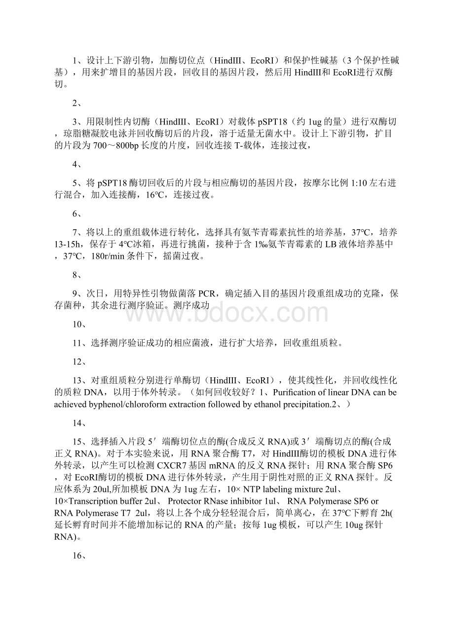 原位杂交步骤自己整理的精讲文档格式.docx_第3页