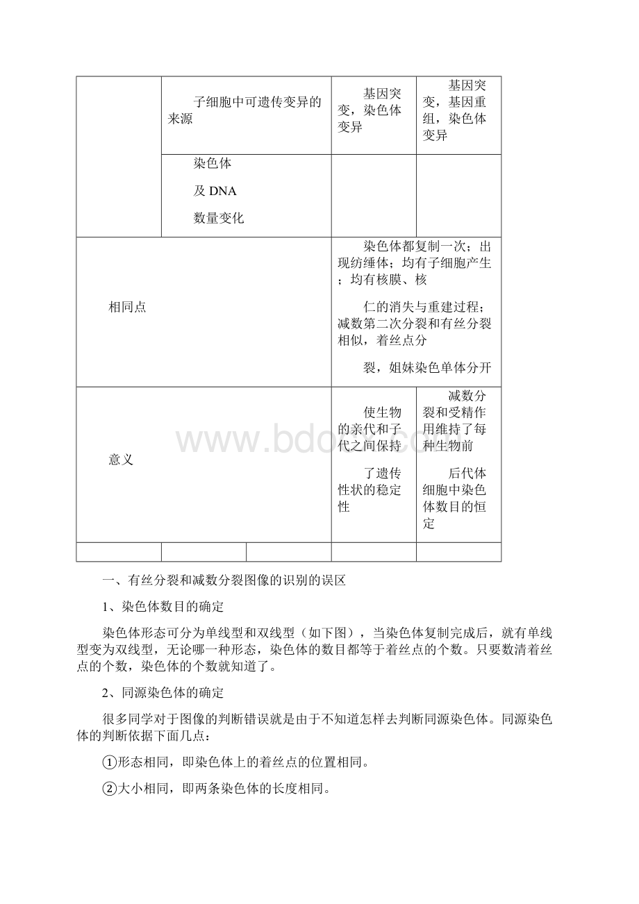 有丝分裂和减数分裂的区别图文稿Word文件下载.docx_第3页