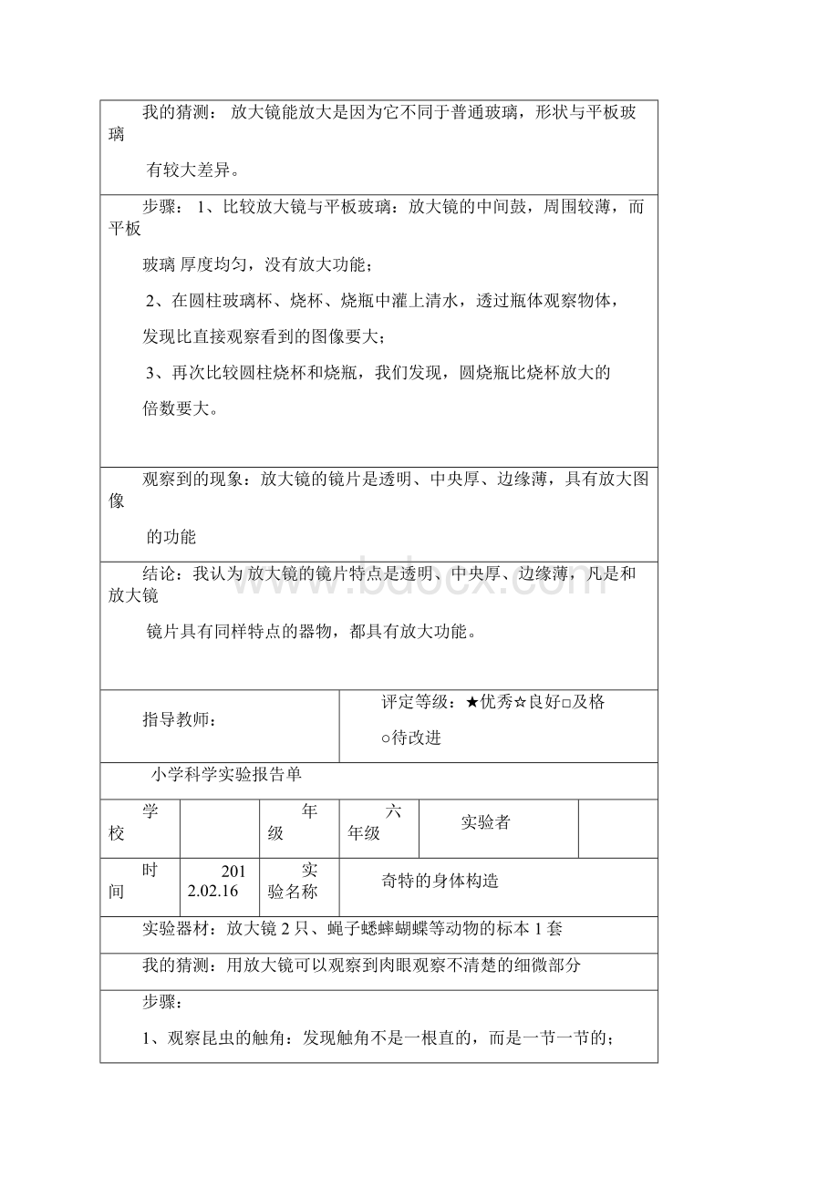 教科版六年级科学下册实验报告完整优质文档Word文档下载推荐.docx_第3页