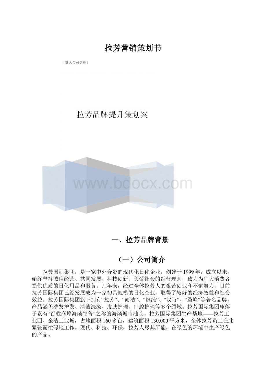 拉芳营销策划书Word文档下载推荐.docx_第1页