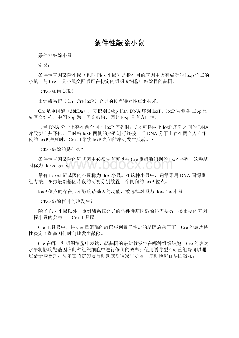 条件性敲除小鼠Word文件下载.docx