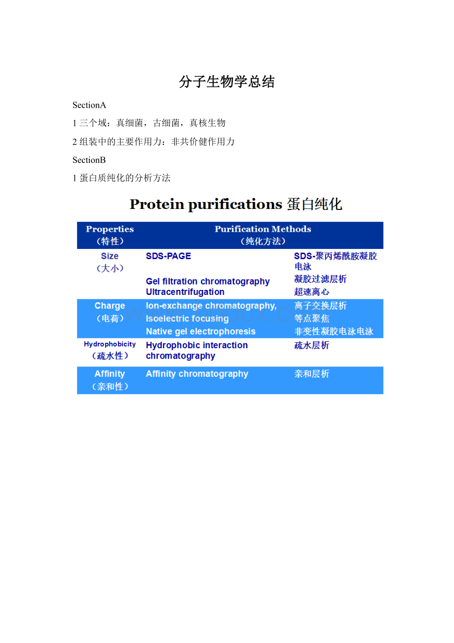 分子生物学总结文档格式.docx