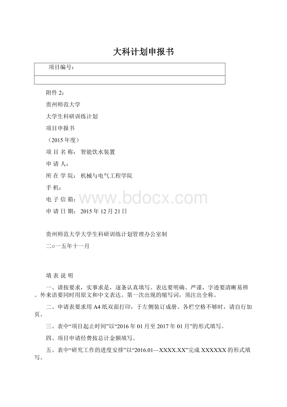 大科计划申报书文档格式.docx