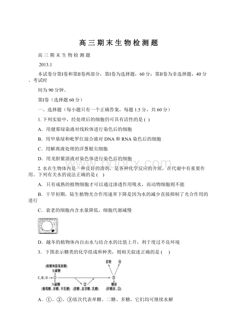 高 三 期 末 生 物 检 测 题.docx_第1页