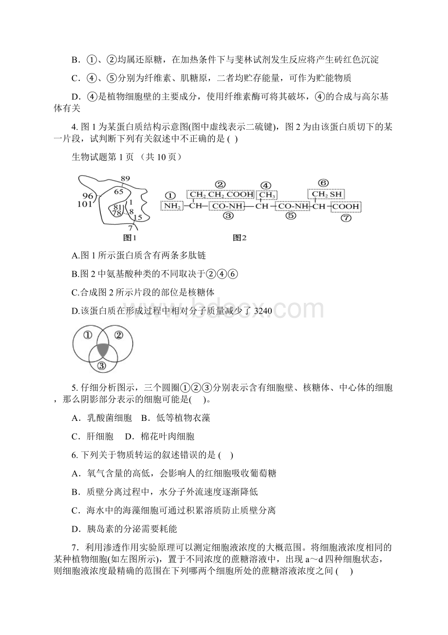 高 三 期 末 生 物 检 测 题.docx_第2页