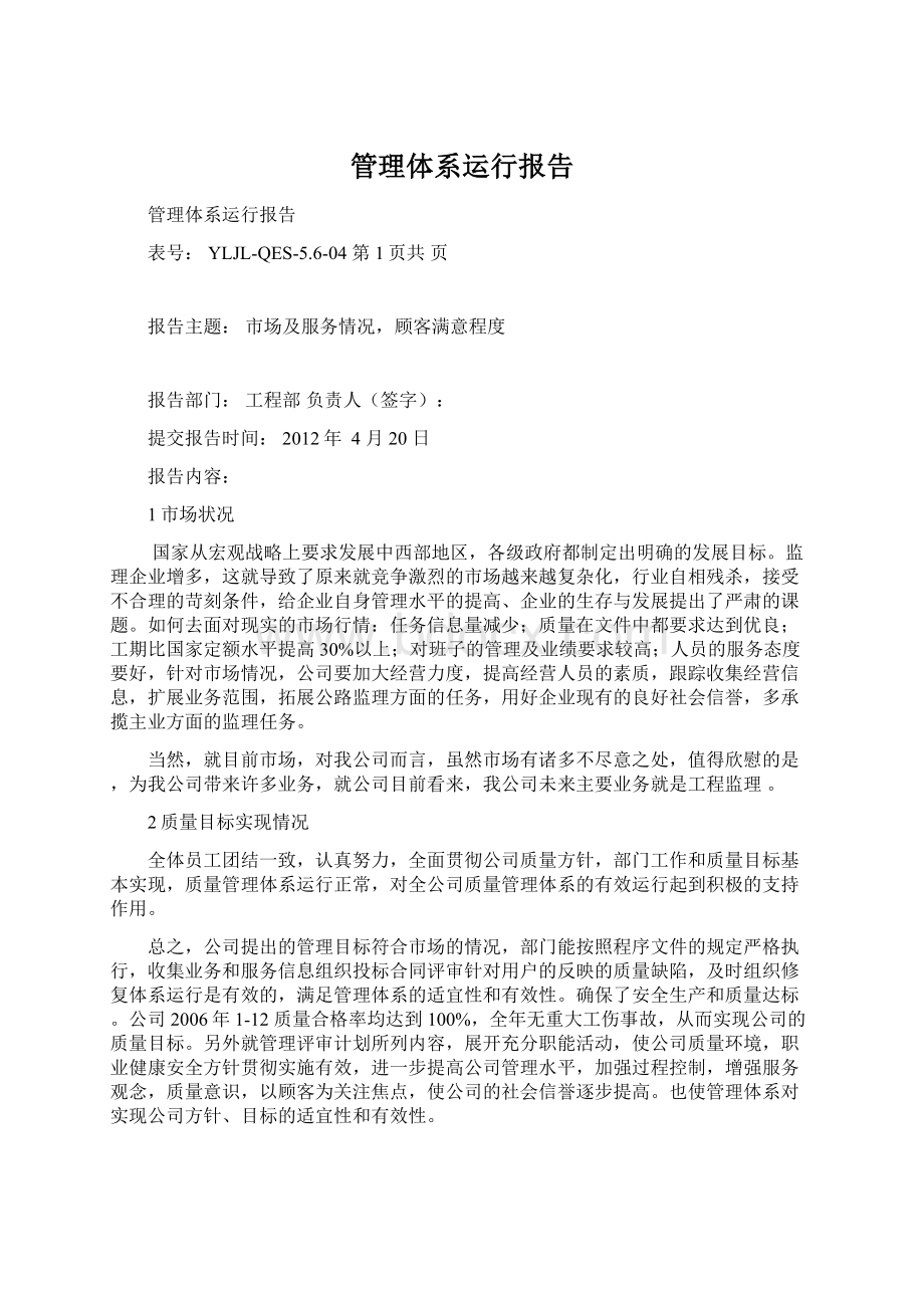 管理体系运行报告.docx