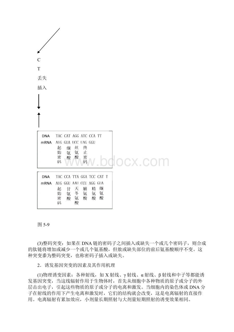 人教版教学教案基因突变及其他变异 单元小结 1.docx_第3页