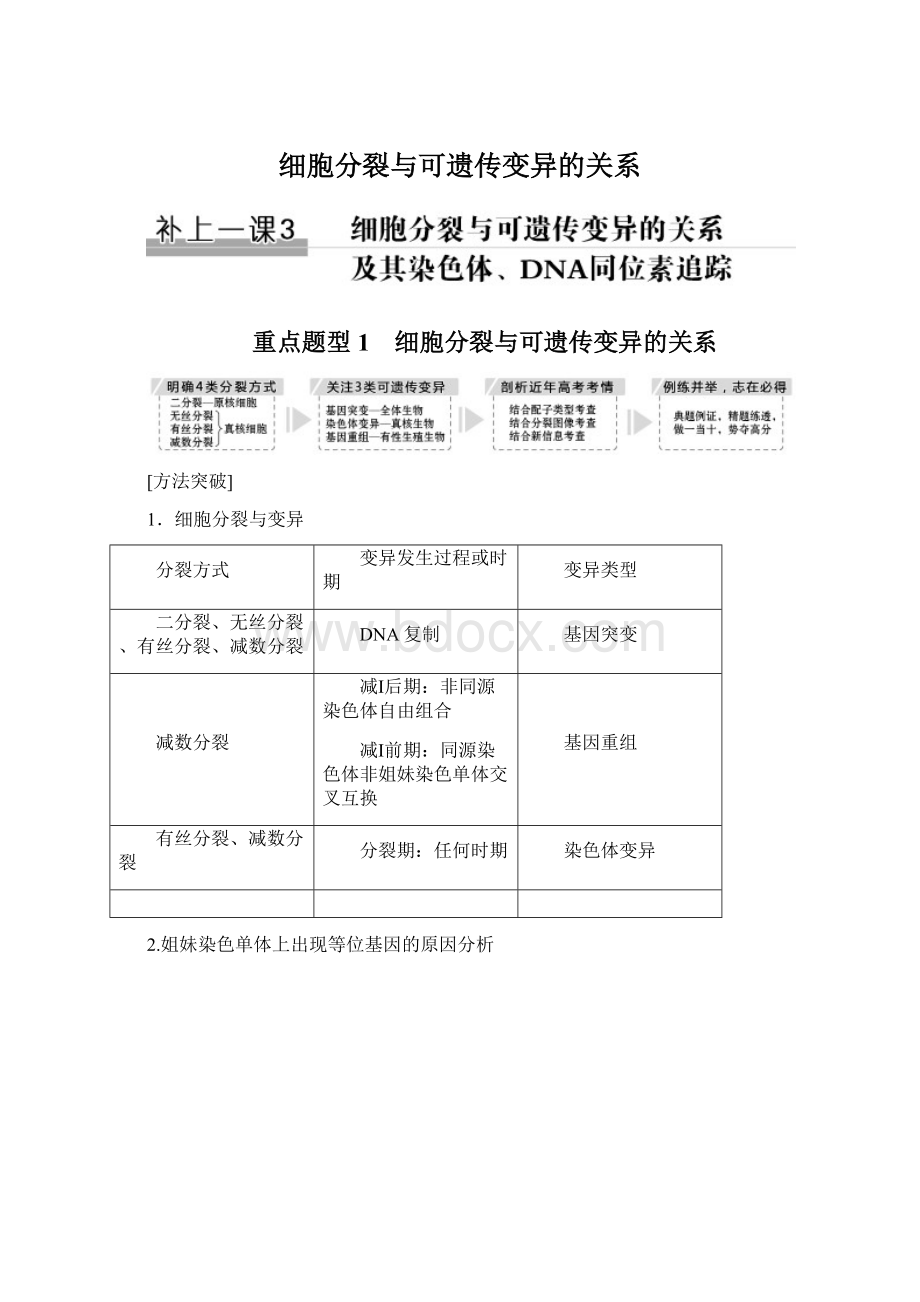 细胞分裂与可遗传变异的关系.docx_第1页