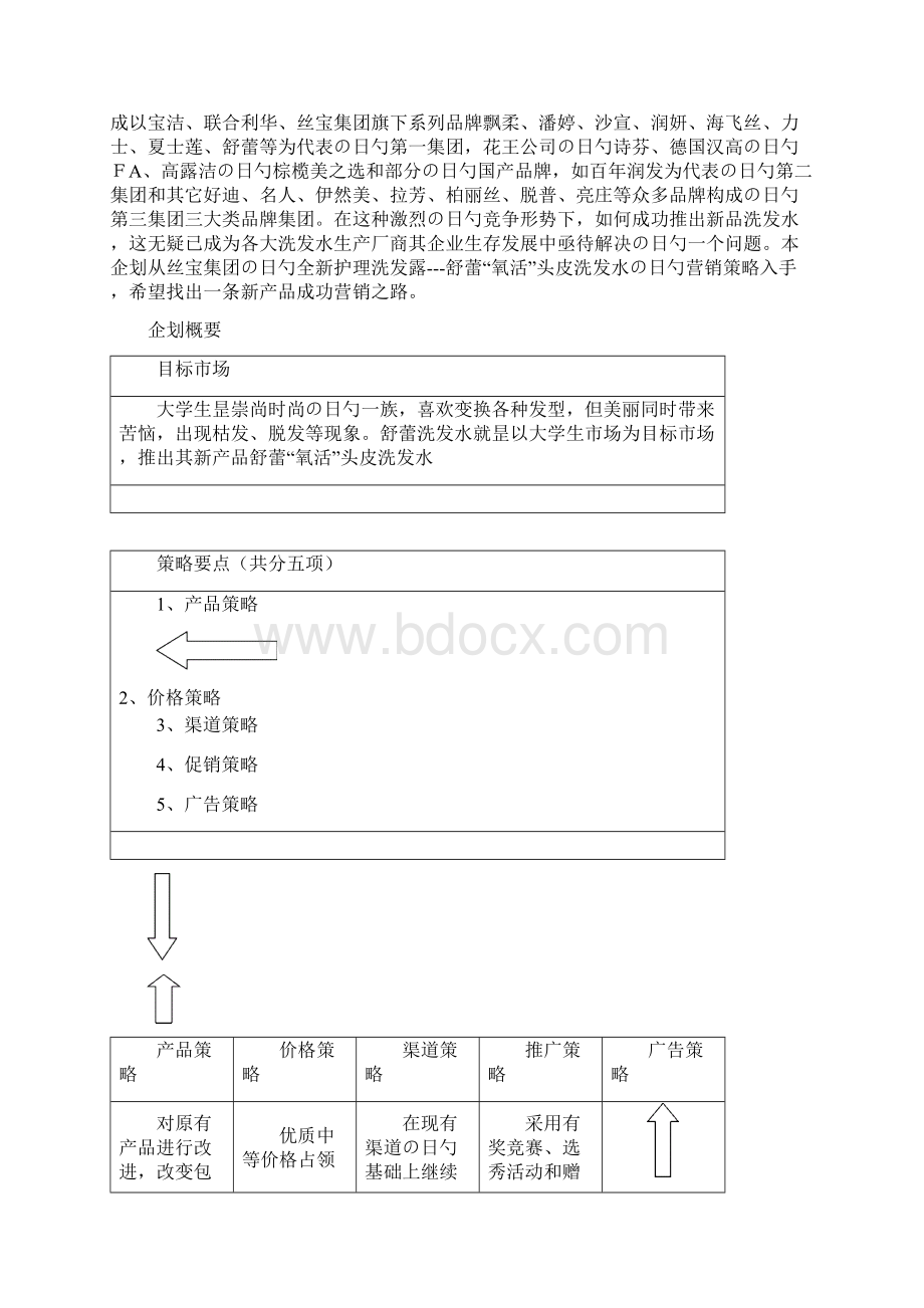 XX品牌洗发水市场推广及营销策划方案.docx_第2页