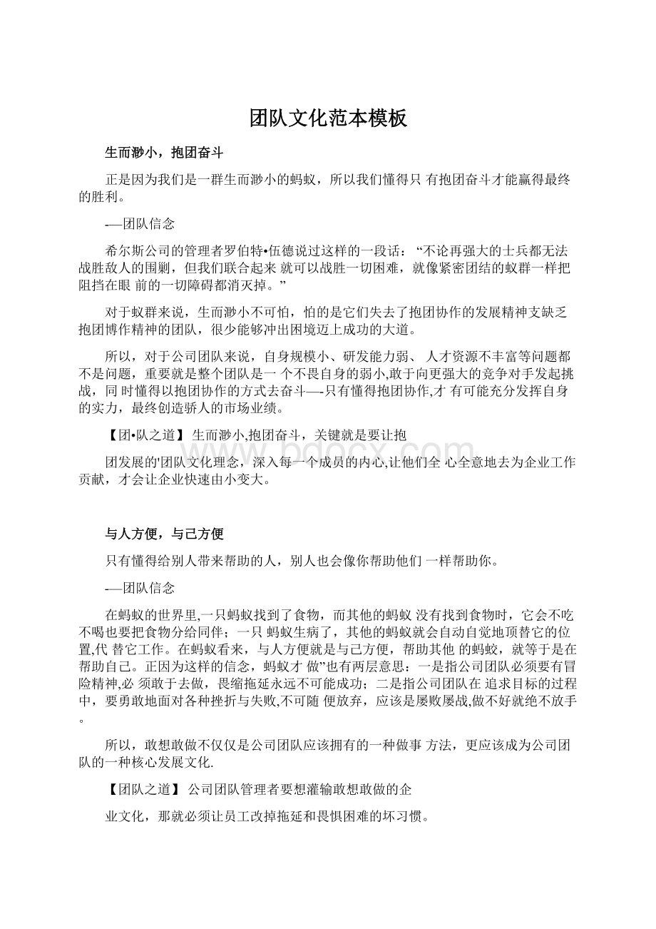 团队文化范本模板Word格式文档下载.docx_第1页