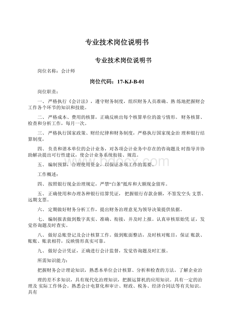 专业技术岗位说明书Word格式文档下载.docx