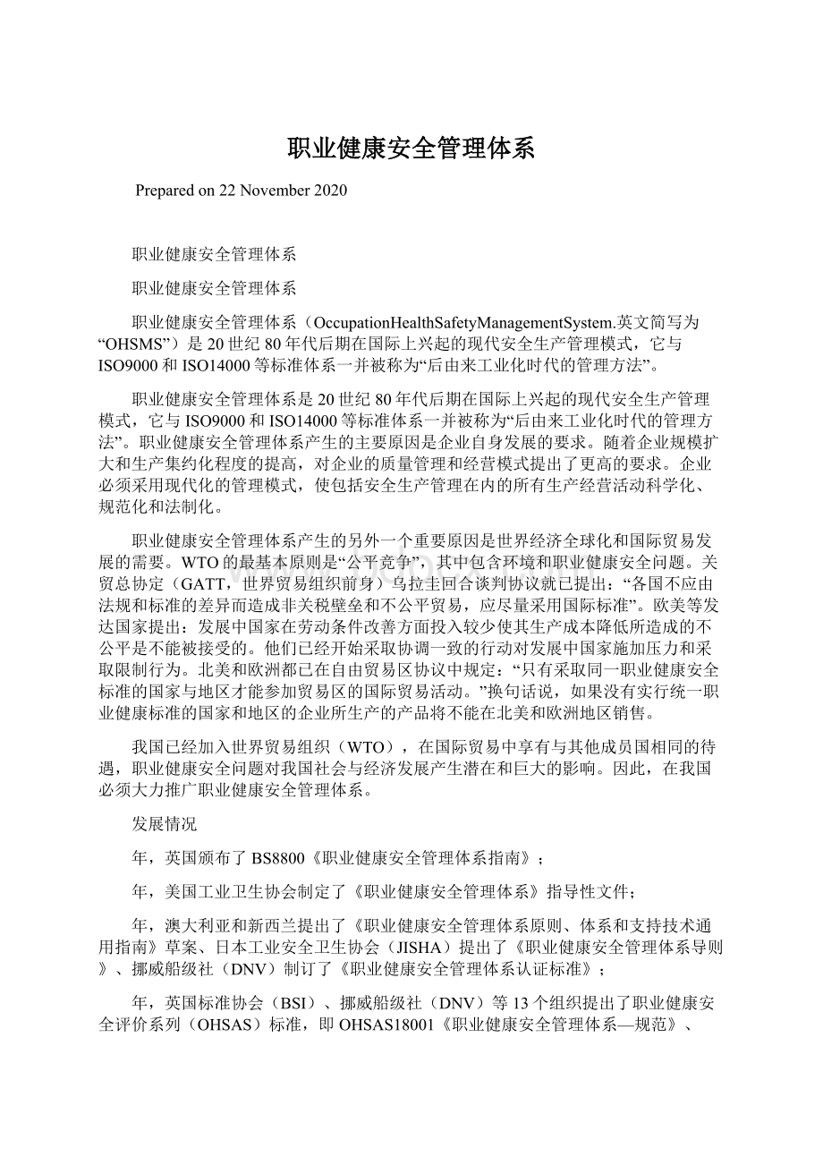 职业健康安全管理体系文档格式.docx_第1页