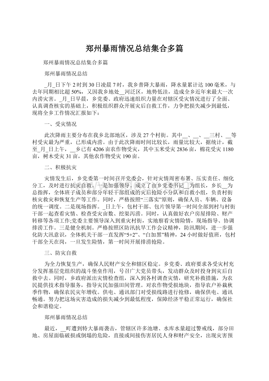 郑州暴雨情况总结集合多篇.docx