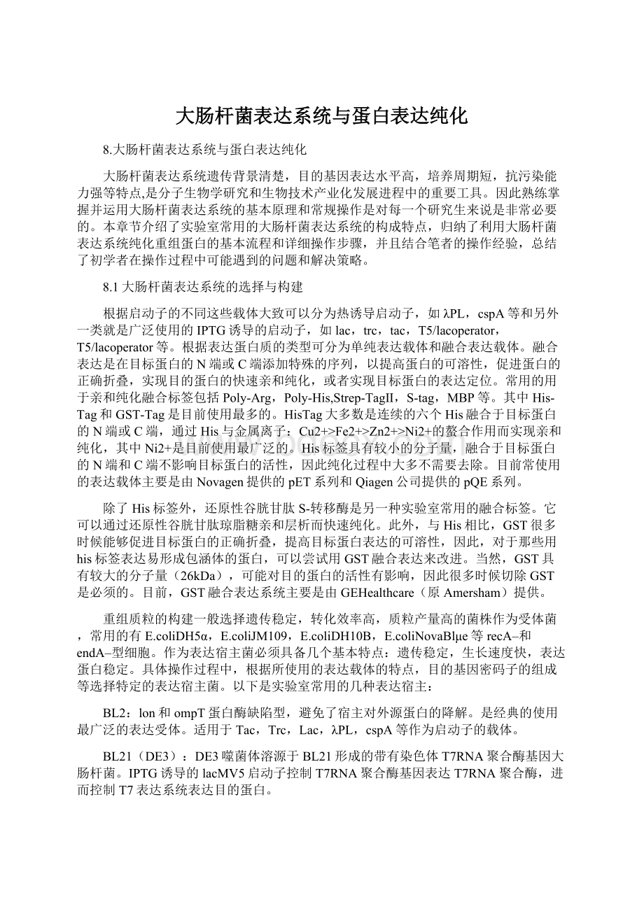 大肠杆菌表达系统与蛋白表达纯化Word格式.docx_第1页