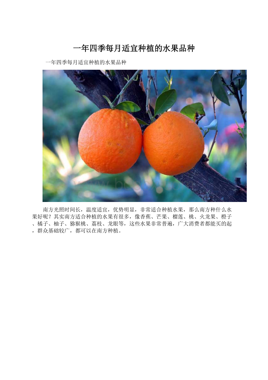 一年四季每月适宜种植的水果品种.docx_第1页