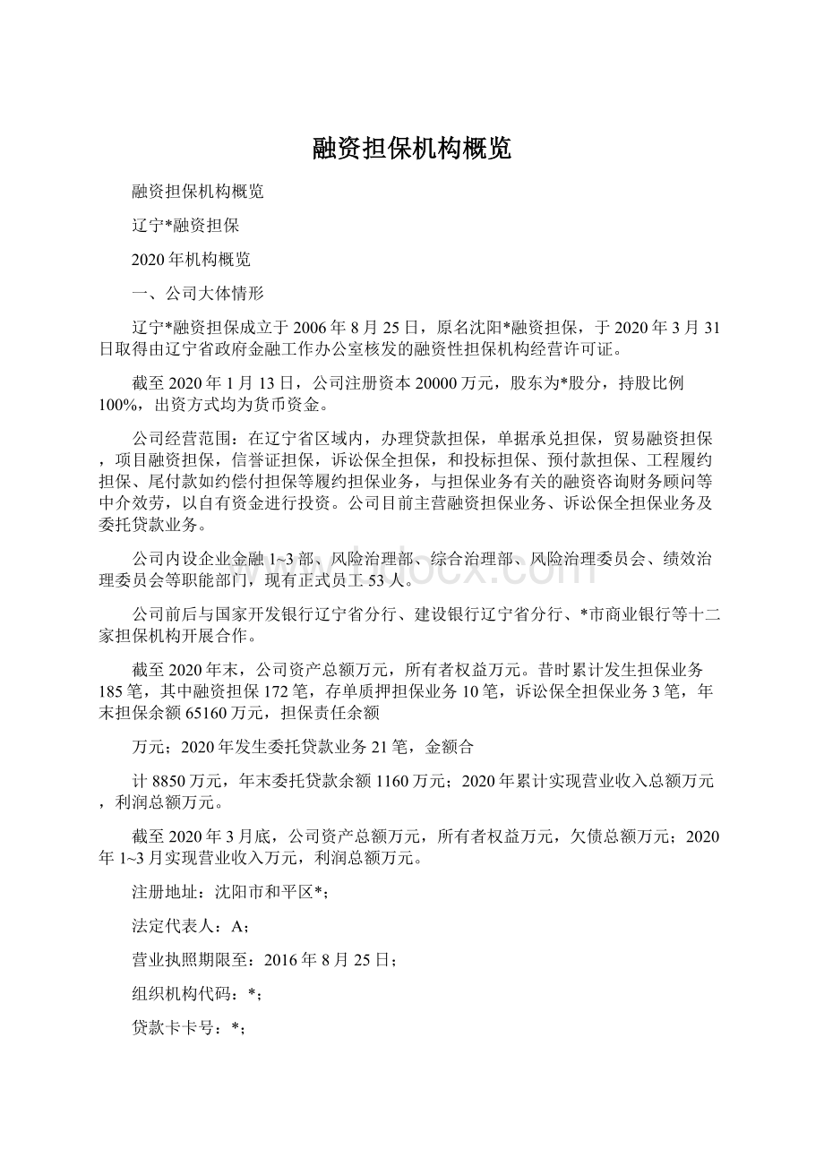 融资担保机构概览.docx_第1页