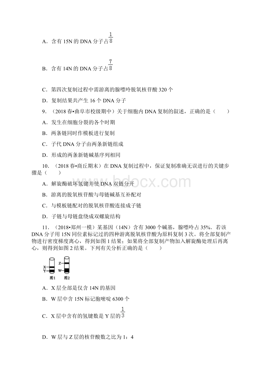 dna的复制1.docx_第3页