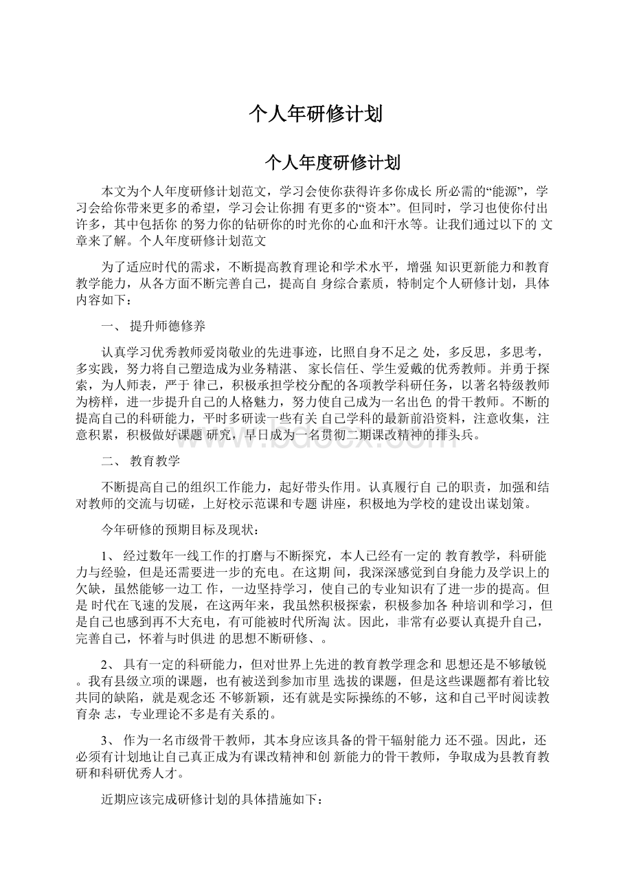 个人年研修计划Word格式文档下载.docx