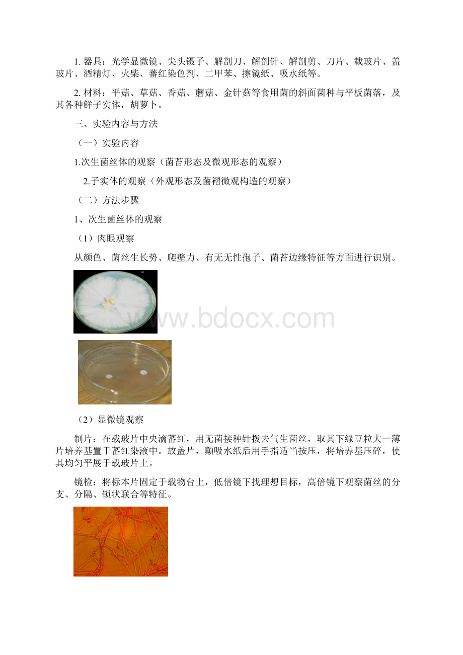 食用菌栽培技术基础性实验.docx_第2页