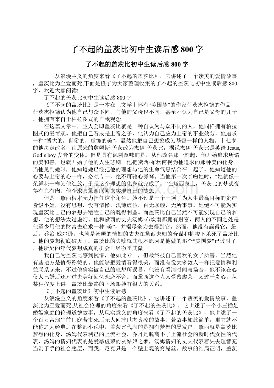 了不起的盖茨比初中生读后感800字.docx_第1页