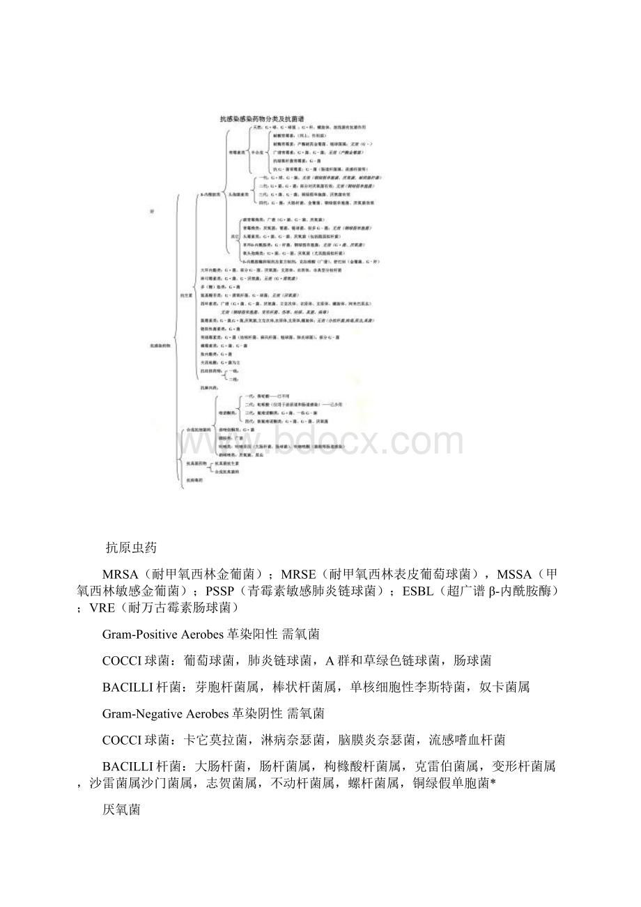 临床常用的各类抗菌药物抗菌谱及抗菌活性Word格式.docx_第2页