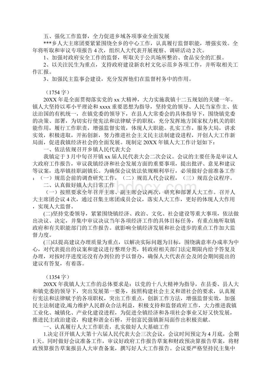 乡镇人大工作计划精选.docx_第2页