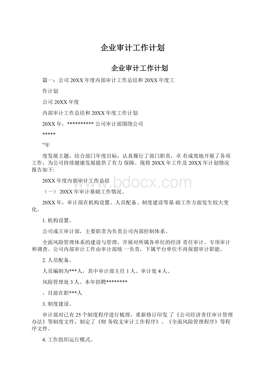 企业审计工作计划.docx