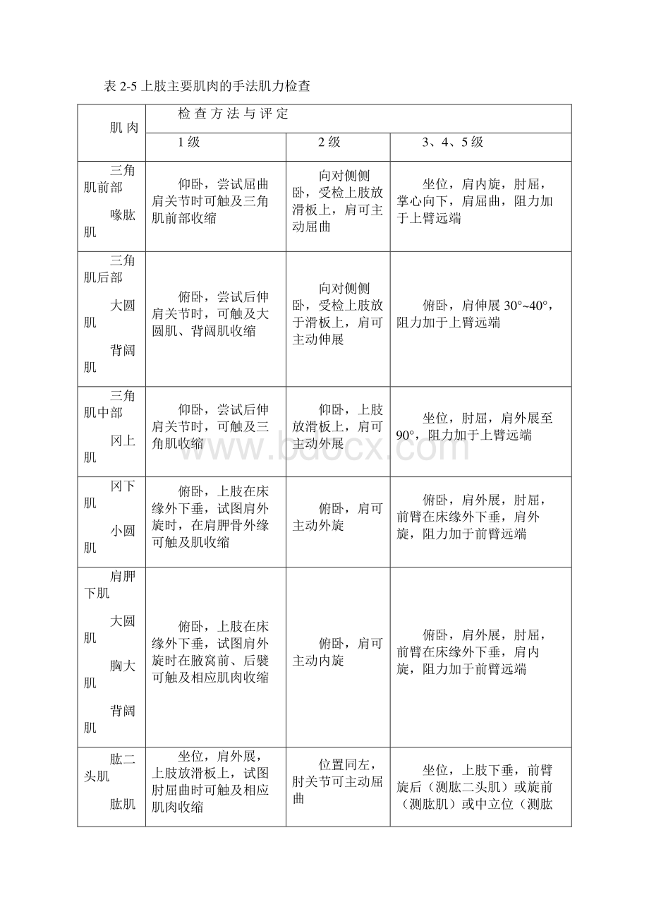 肌力评定.docx_第2页