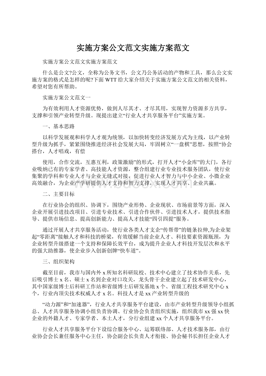 实施方案公文范文实施方案范文.docx_第1页