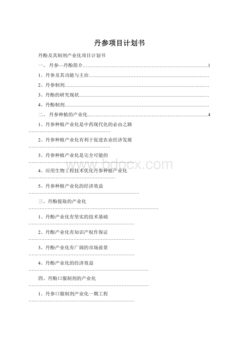 丹参项目计划书Word格式.docx