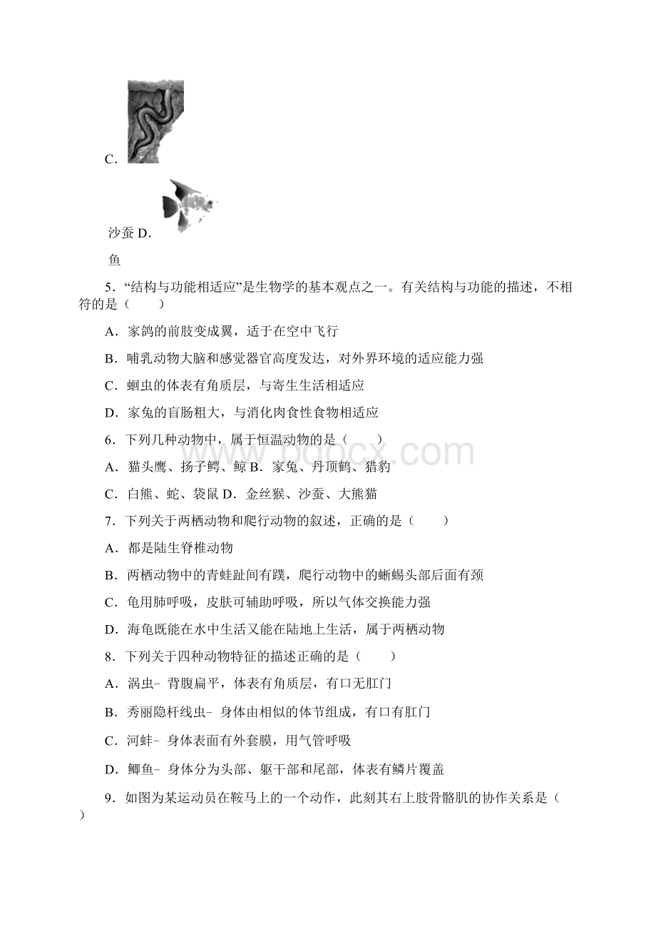 人教版八年级生物上册期末试题及答案.docx_第2页