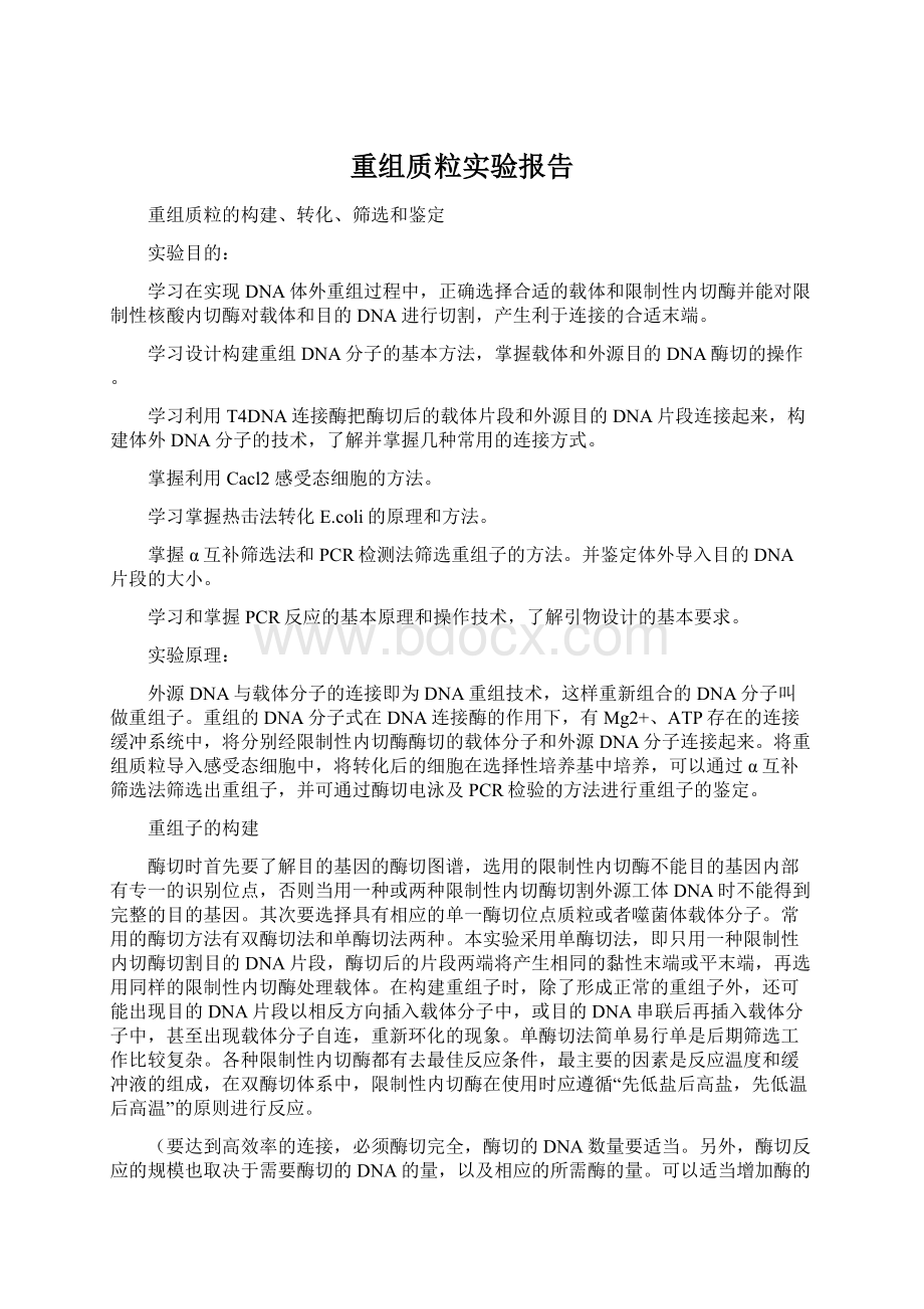 重组质粒实验报告文档格式.docx