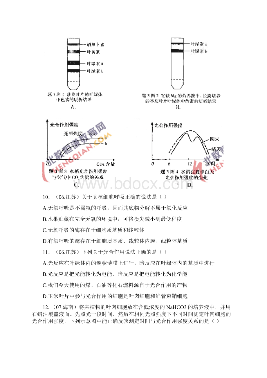 光合作用及呼吸作用练习试题及答案解析.docx_第3页