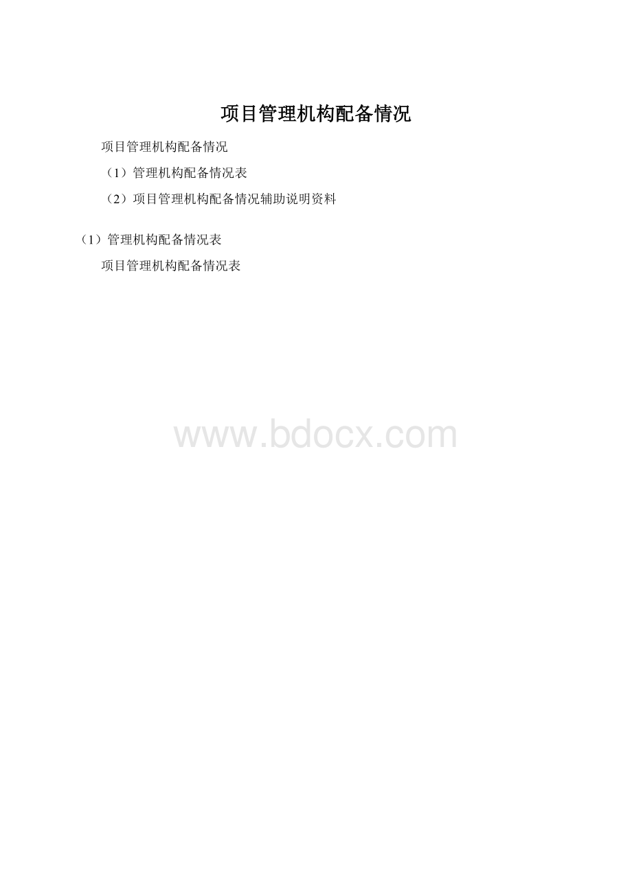 项目管理机构配备情况.docx