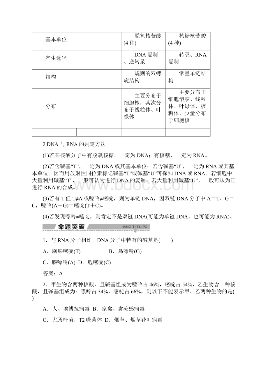 学年高中生物 第三章 遗传的分子基础 第四节 遗传信息的表达RNA和蛋白质的合Word格式文档下载.docx_第3页