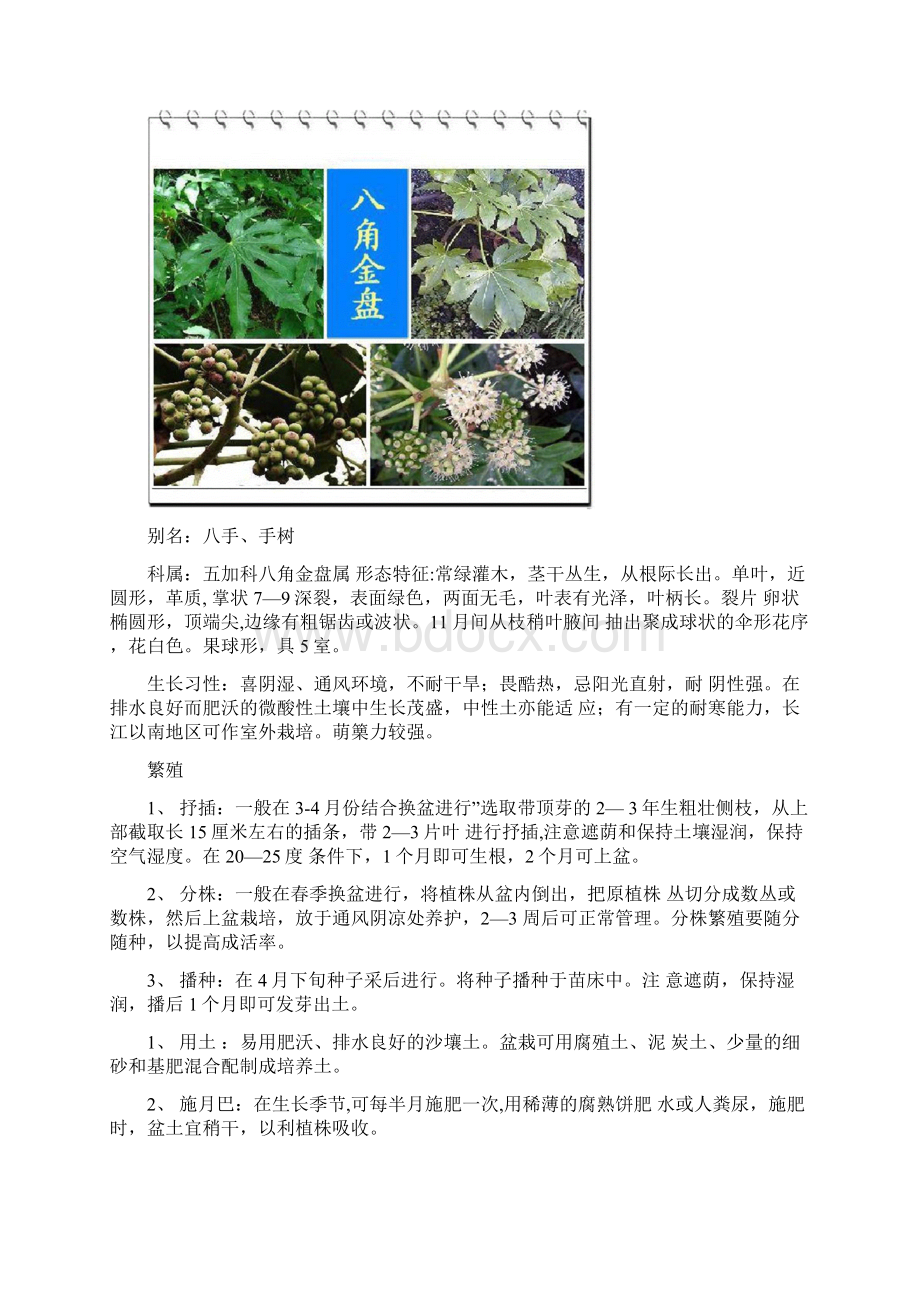 常见盆栽木本花卉资料附图122727.docx_第2页