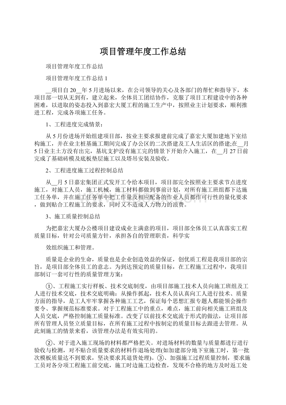 项目管理年度工作总结.docx_第1页