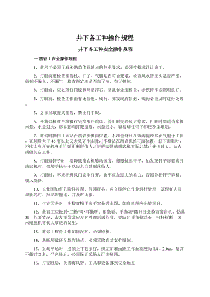 井下各工种操作规程文档格式.docx