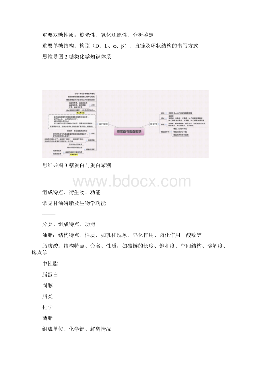 生物化学思维导图.docx_第2页