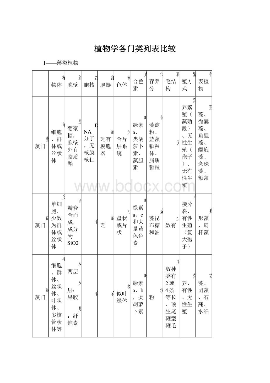 植物学各门类列表比较Word下载.docx